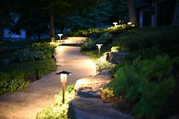 Landscape Lighting Project in Ontario by Nightscapes: pathway lights along a winding pathway. Greenery surrounding the path.